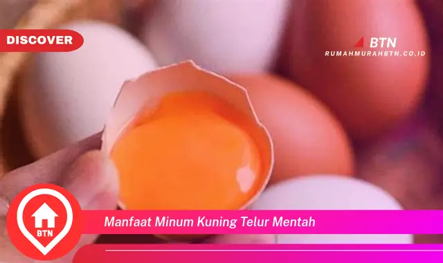 manfaat minum kuning telur mentah