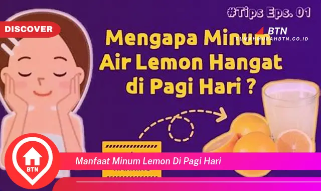 manfaat minum lemon di pagi hari