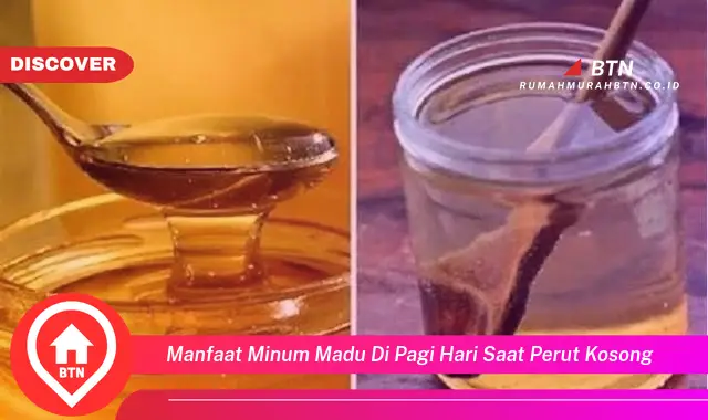 manfaat minum madu di pagi hari saat perut kosong