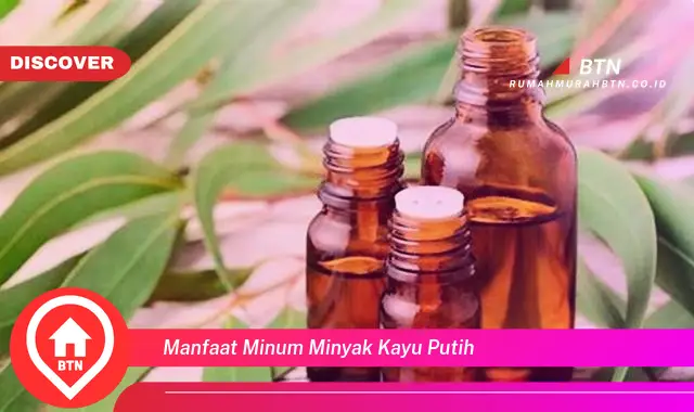 manfaat minum minyak kayu putih