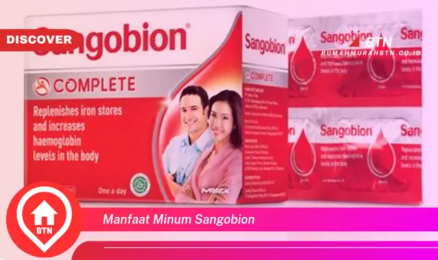 manfaat minum sangobion