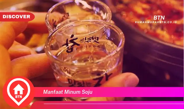 manfaat minum soju