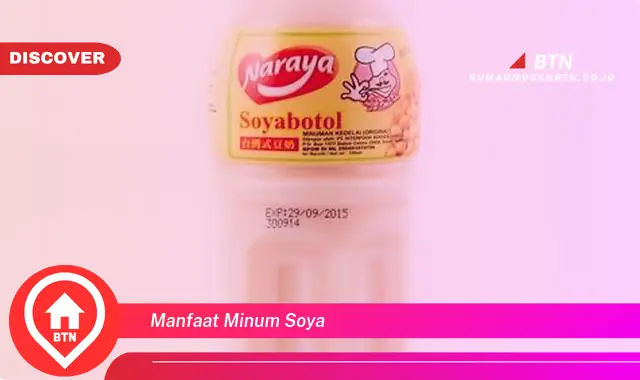 manfaat minum soya