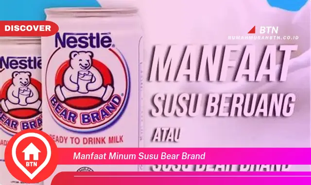 manfaat minum susu bear brand