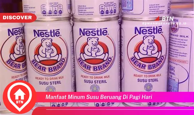 manfaat minum susu beruang di pagi hari