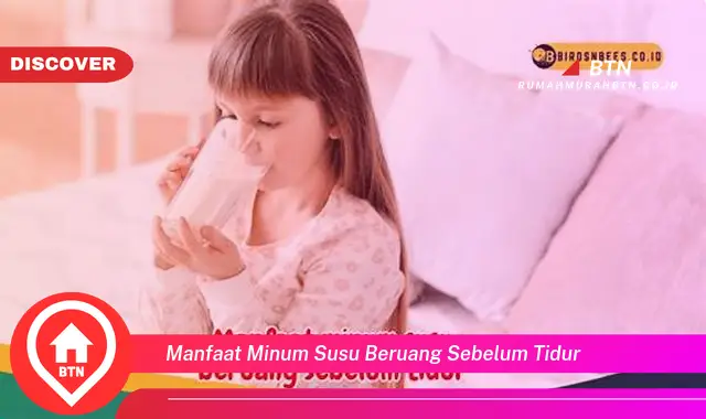 manfaat minum susu beruang sebelum tidur