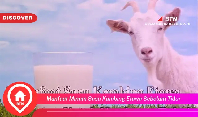 manfaat minum susu kambing etawa sebelum tidur