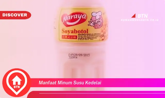 manfaat minum susu kedelai