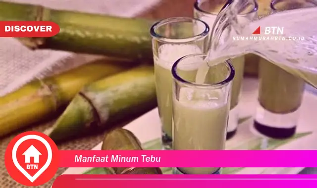 manfaat minum tebu