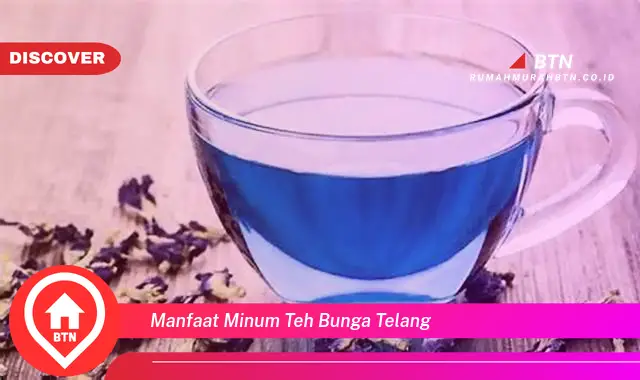 manfaat minum teh bunga telang