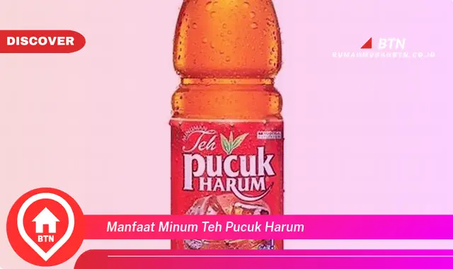 manfaat minum teh pucuk harum