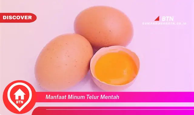 manfaat minum telur mentah