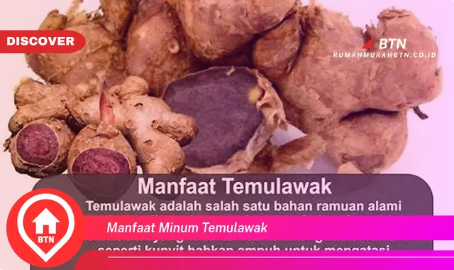 manfaat minum temulawak