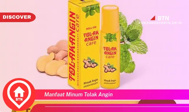 manfaat minum tolak angin