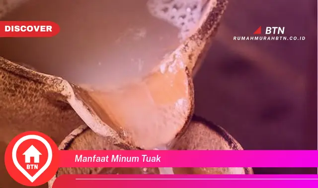 manfaat minum tuak