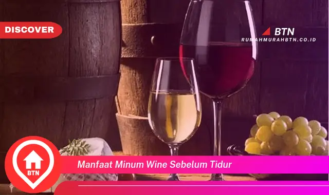 manfaat minum wine sebelum tidur