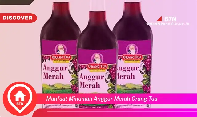 manfaat minuman anggur merah orang tua