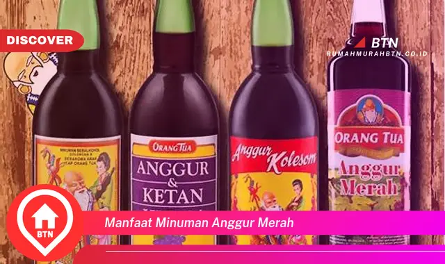 manfaat minuman anggur merah