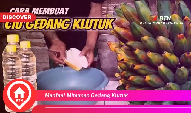 manfaat minuman gedang klutuk