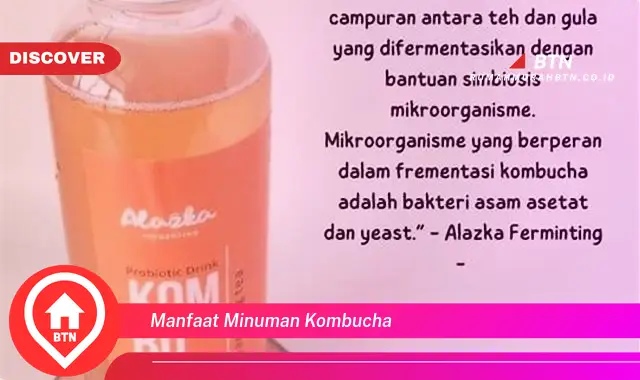 manfaat minuman kombucha