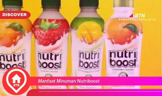 manfaat minuman nutriboost