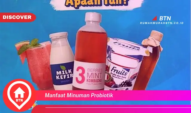 manfaat minuman probiotik