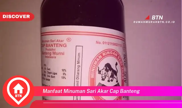 manfaat minuman sari akar cap banteng