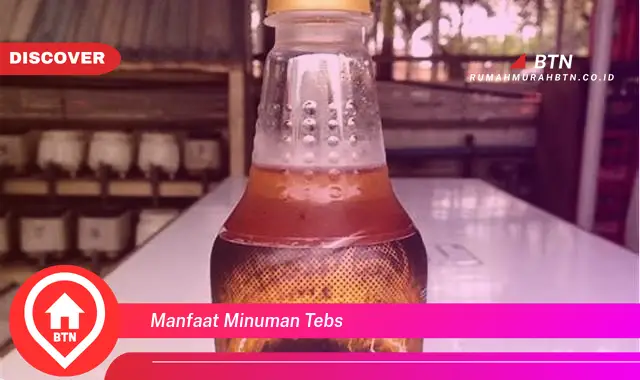 manfaat minuman tebs