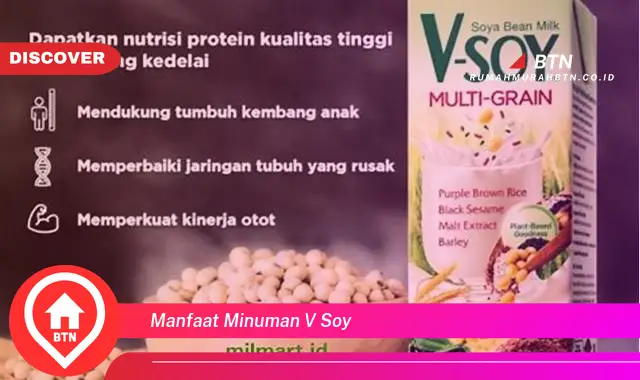 manfaat minuman v soy