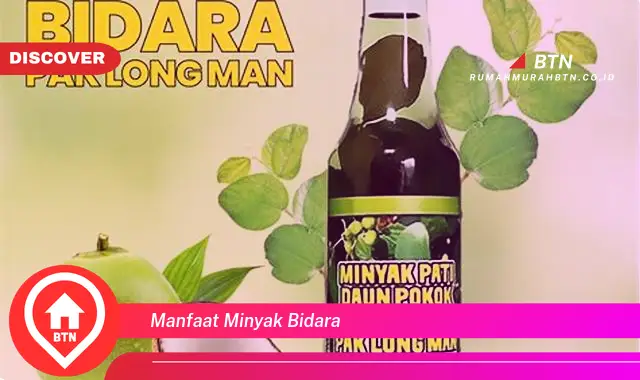 manfaat minyak bidara