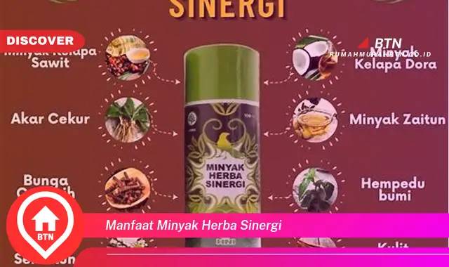 manfaat minyak herba sinergi