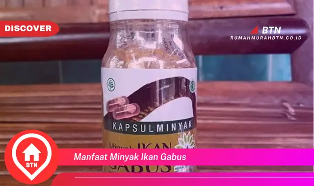 manfaat minyak ikan gabus