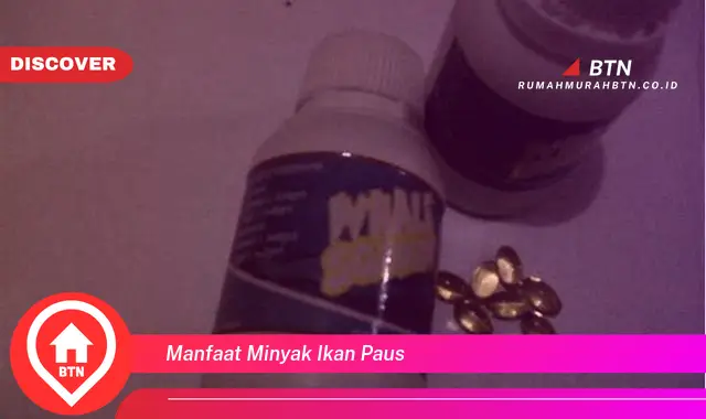 manfaat minyak ikan paus