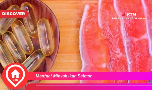 manfaat minyak ikan salmon