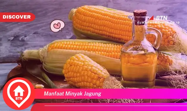 manfaat minyak jagung