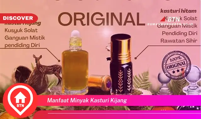 manfaat minyak kasturi kijang