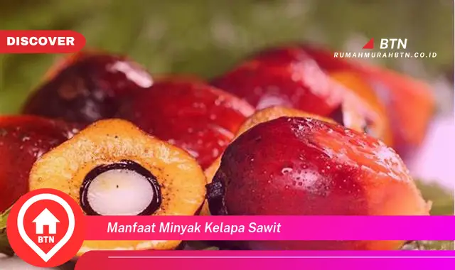 manfaat minyak kelapa sawit