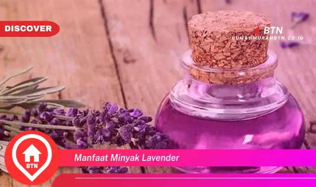 manfaat minyak lavender