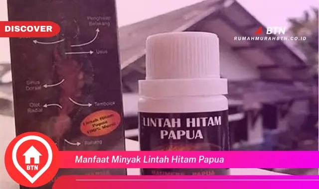 manfaat minyak lintah hitam papua