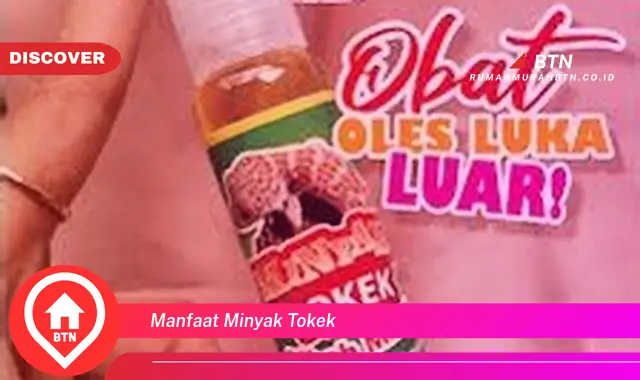 manfaat minyak tokek