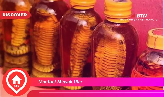 manfaat minyak ular