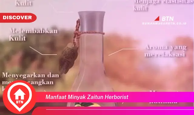 manfaat minyak zaitun herborist