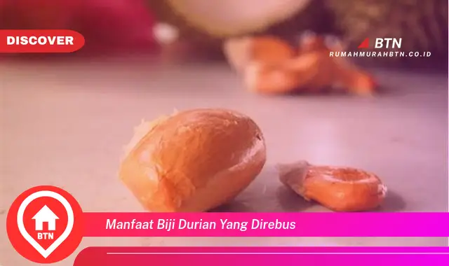 manfaat biji durian yang direbus