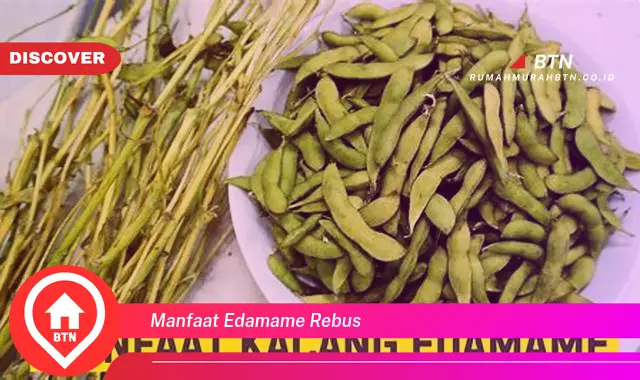 manfaat edamame rebus