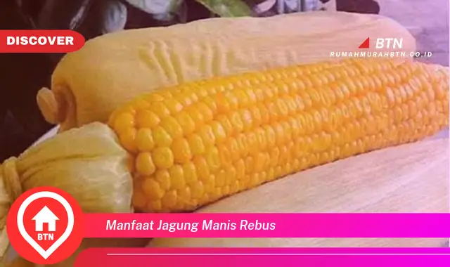 manfaat jagung manis rebus