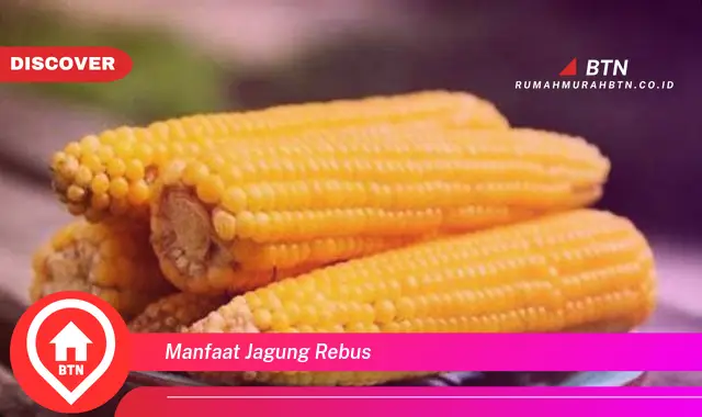 manfaat jagung rebus