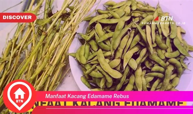 manfaat kacang edamame rebus