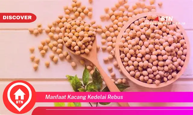 manfaat kacang kedelai rebus