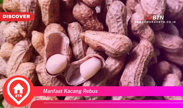 manfaat kacang rebus