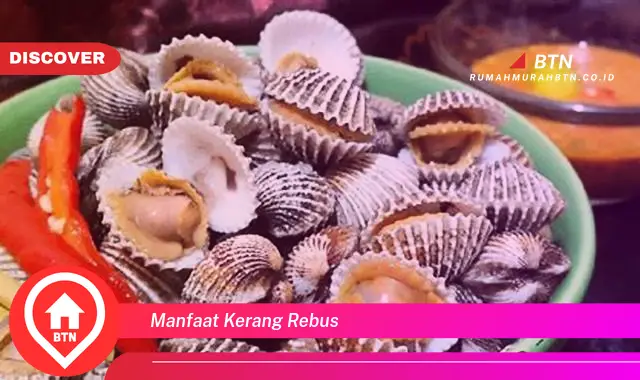 manfaat kerang rebus